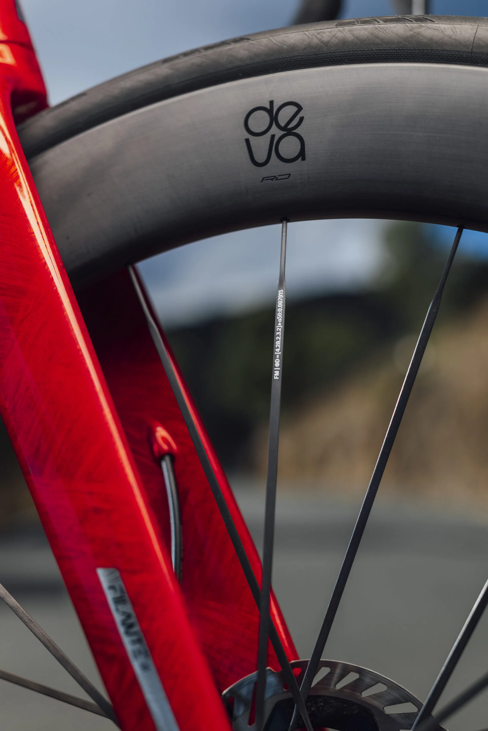 Rayons carbone Vonoa Miche Deva.